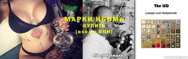 стафф Алексин