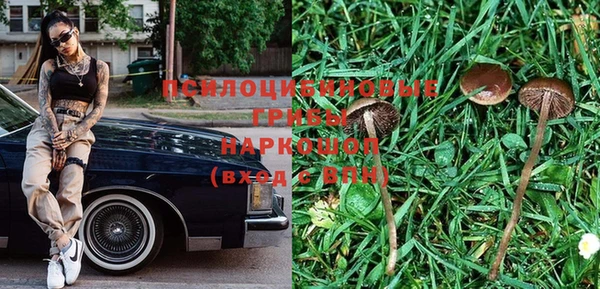 дурь Алзамай